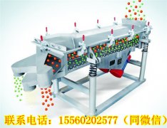 湖南王總需要的DZSF直線振動篩今天發(fā)貨！